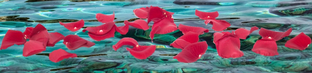 Rose Petals & Water